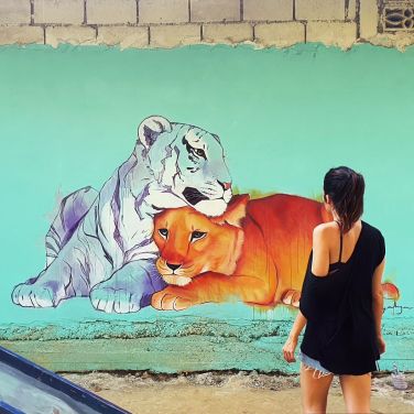 Mural Mae Sot